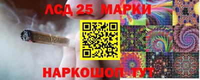 гашик Будённовск