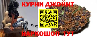 гашик Будённовск