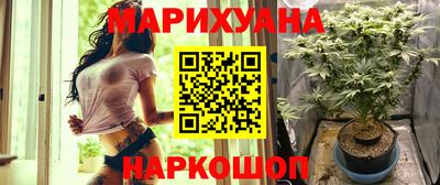 гашик Будённовск