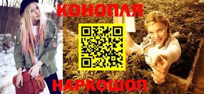 гашик Будённовск