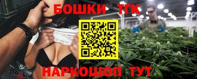 гашик Будённовск